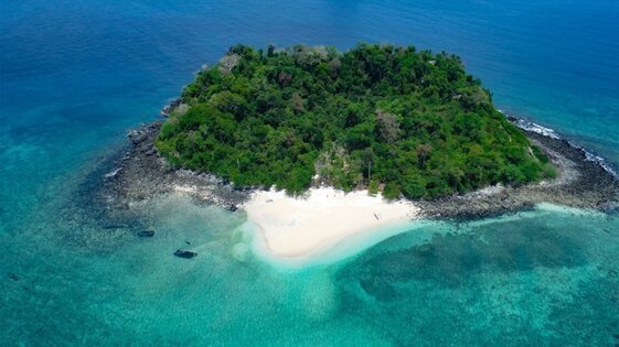 c11e706f-11ac-4e60-aa0e-e91d29065575