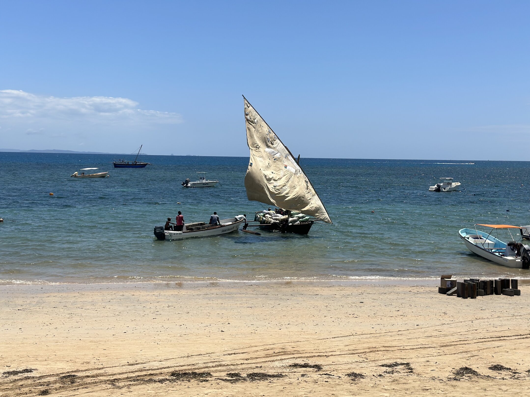 img_6670.jpeg img_6670.jpeg