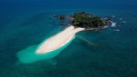 9a3bf939-fafd-4de8-96de-e504e000a229