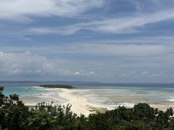 img_7037.jpeg img_7037.jpeg