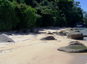 ea13e7b0-deab-4583-bab6-5f14279ec514 ea13e7b0-deab-4583-bab6-5f14279ec514