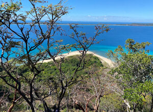 img_7909.jpeg img_7909.jpeg