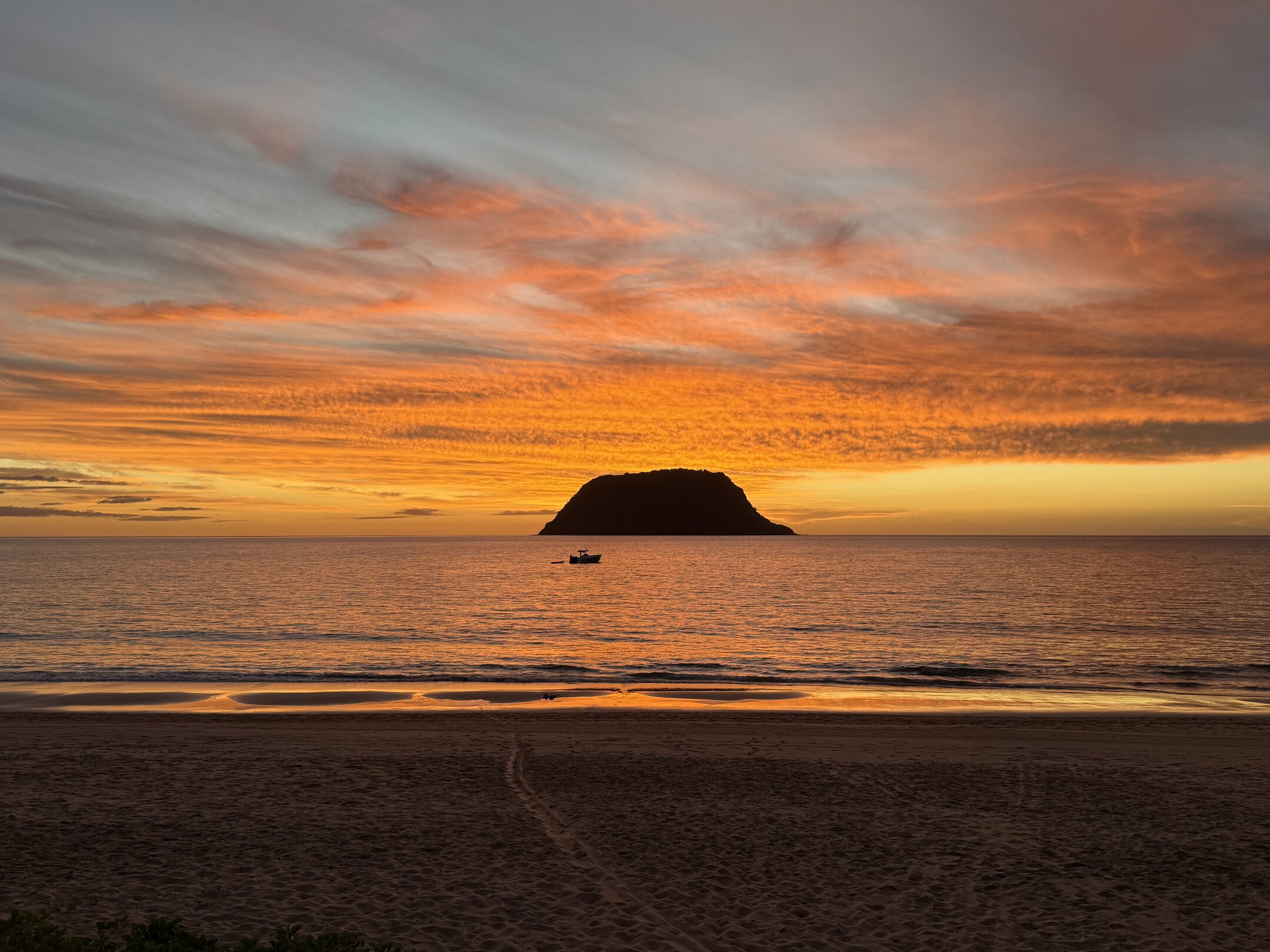 img_4084.jpeg img_4084.jpeg