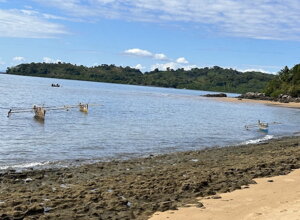 4d918065-05a7-4727-a16a-5b8a0e8b583b 4d918065-05a7-4727-a16a-5b8a0e8b583b