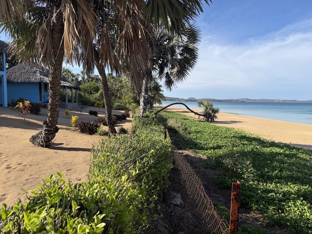 img_7463.jpeg img_7463.jpeg