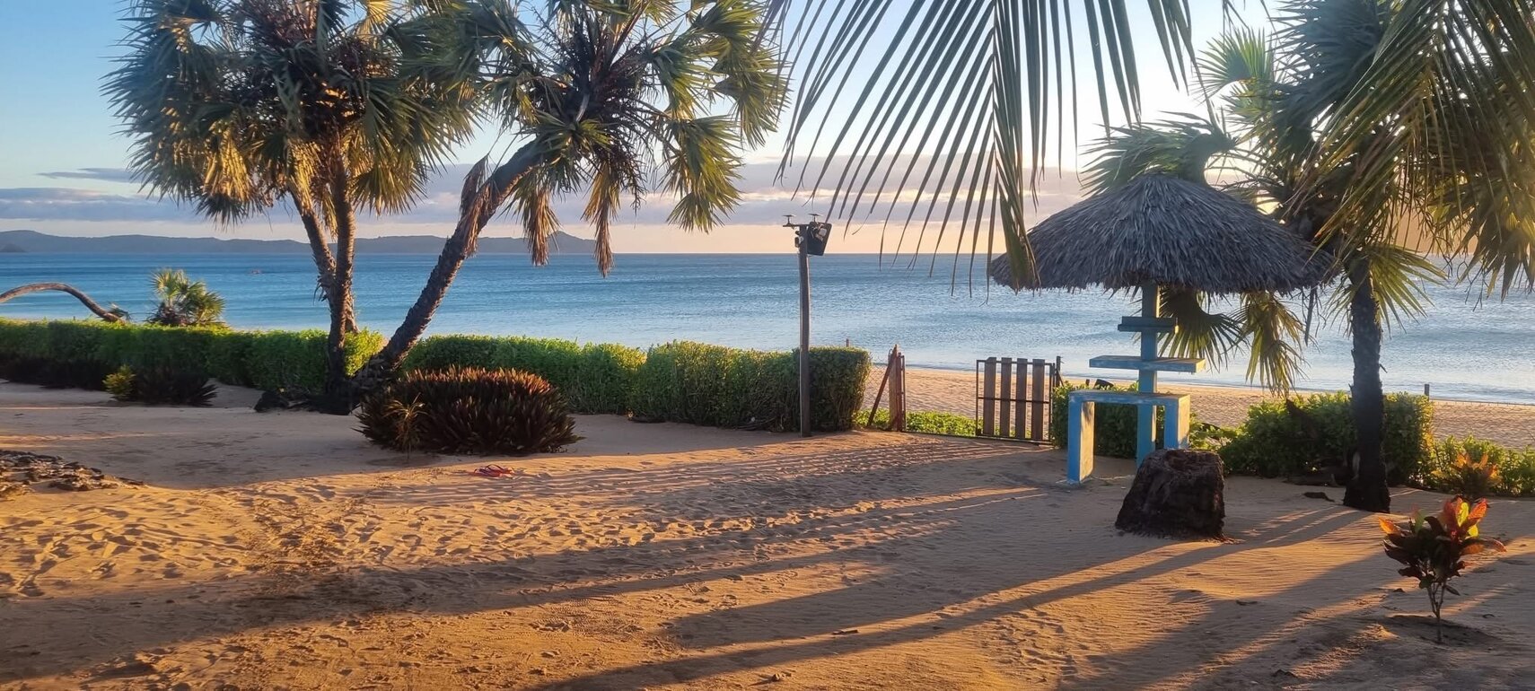 img_7103.jpeg img_7103.jpeg