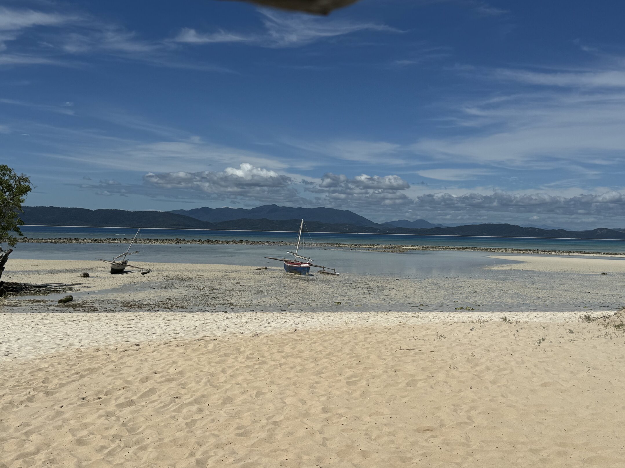 img_8542.jpeg img_8542.jpeg