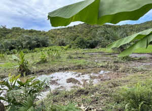 b935c523-e10b-4409-aa3a-2cdf696361dc b935c523-e10b-4409-aa3a-2cdf696361dc