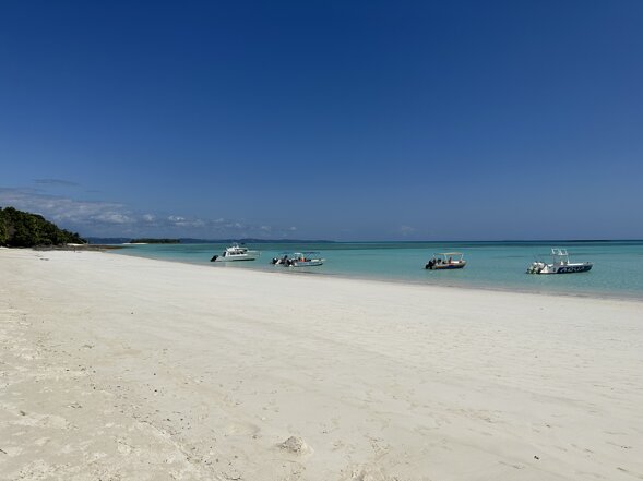 img_6644.jpeg img_6644.jpeg