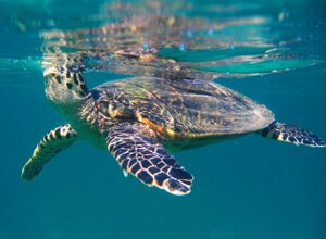 13d61104-cebb-4db2-aaf1-ee47a9478188 13d61104-cebb-4db2-aaf1-ee47a9478188