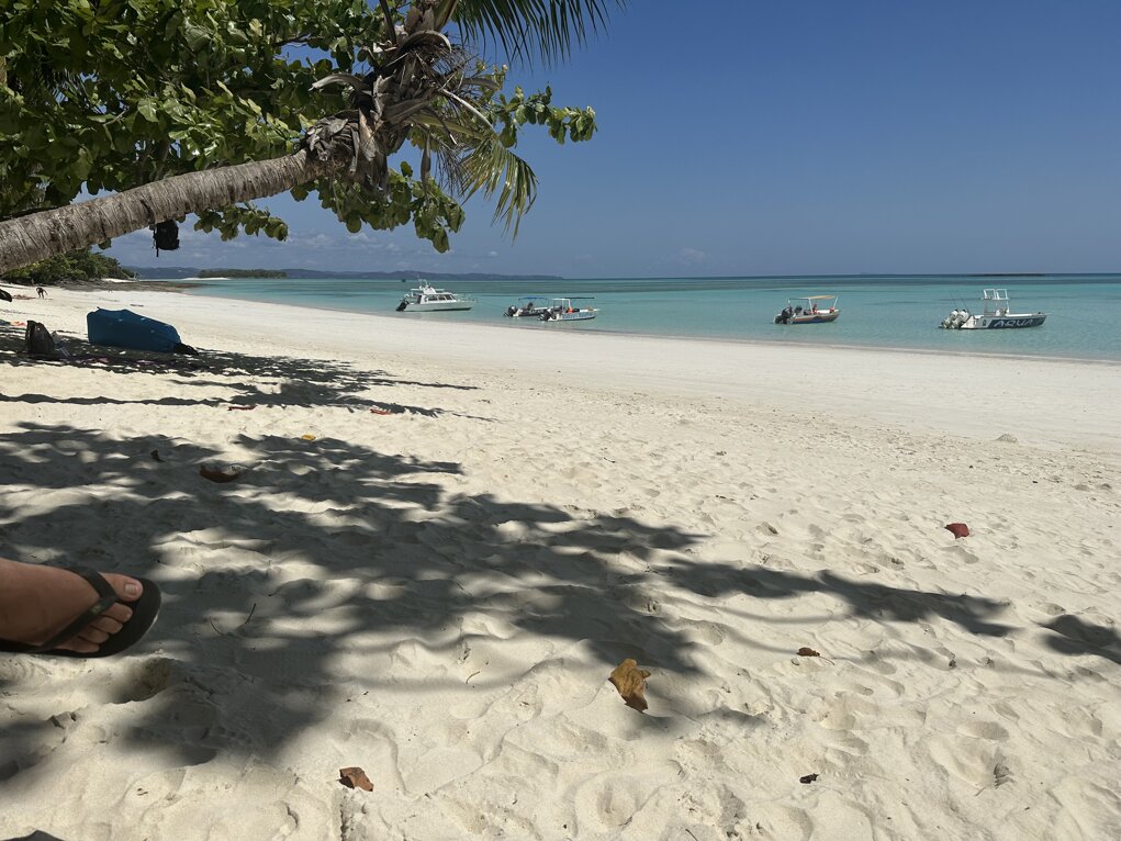 img_6641.jpeg img_6641.jpeg