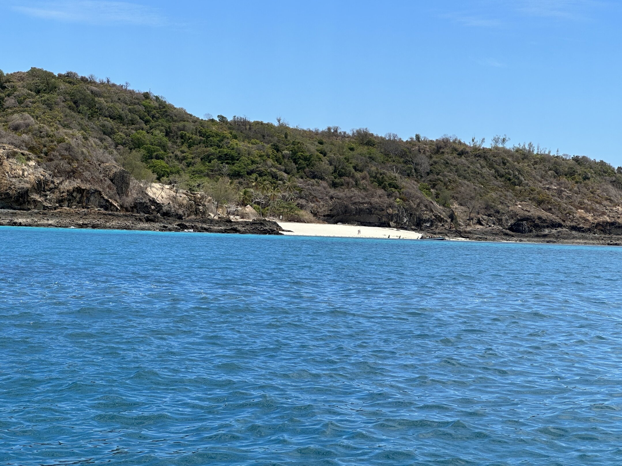 img_7559.jpeg img_7559.jpeg