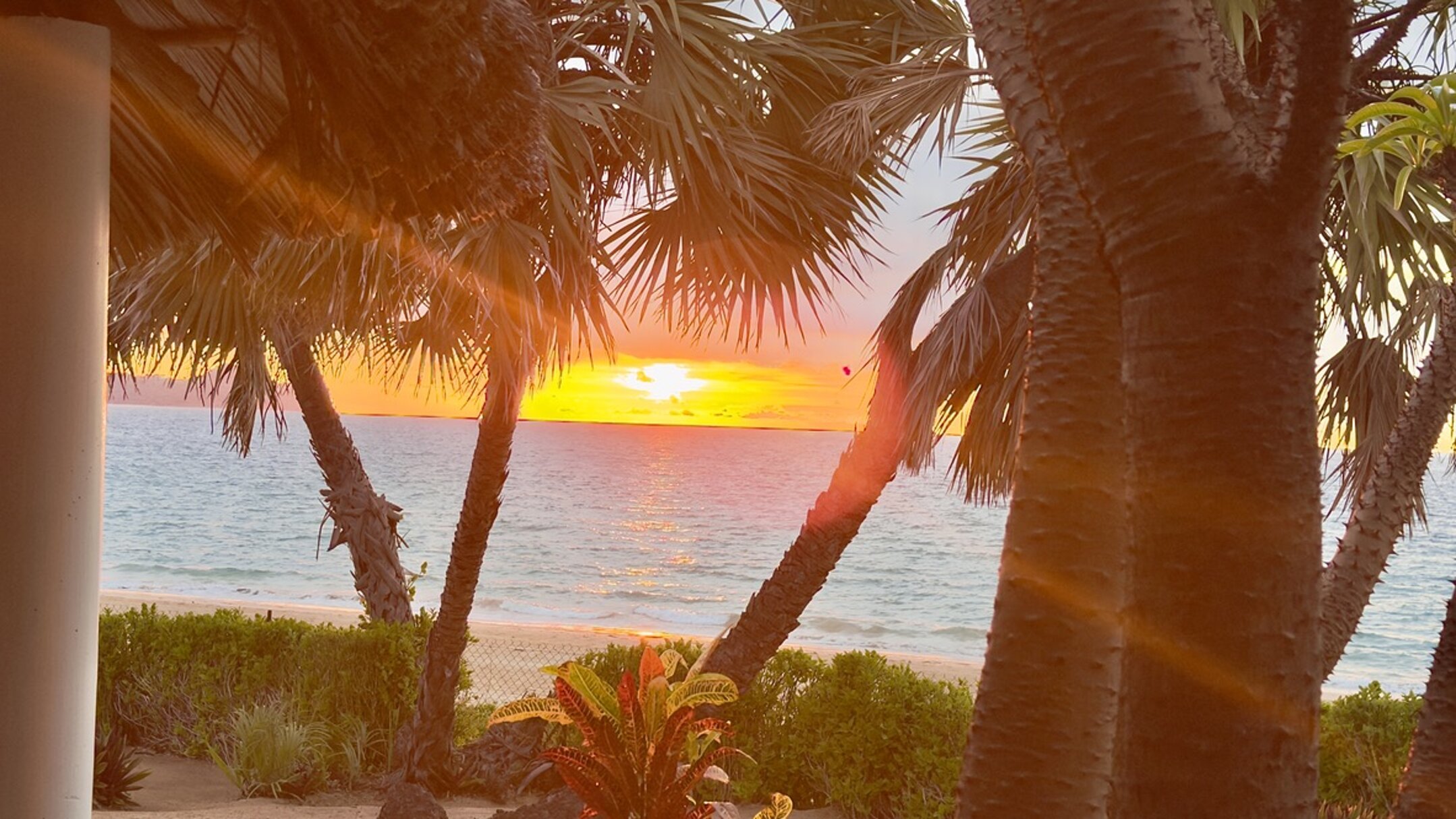 bc6f83d0-1eae-42e8-91eb-752e7bb9d8f5_1_105_c.jpeg bc6f83d0-1eae-42e8-91eb-752e7bb9d8f5_1_105_c.jpeg