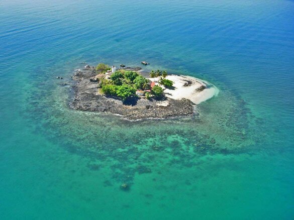 6d0047e0-9709-4777-830e-73b71ecae71c