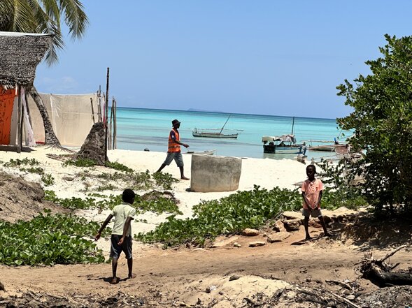 img_6633.jpeg img_6633.jpeg