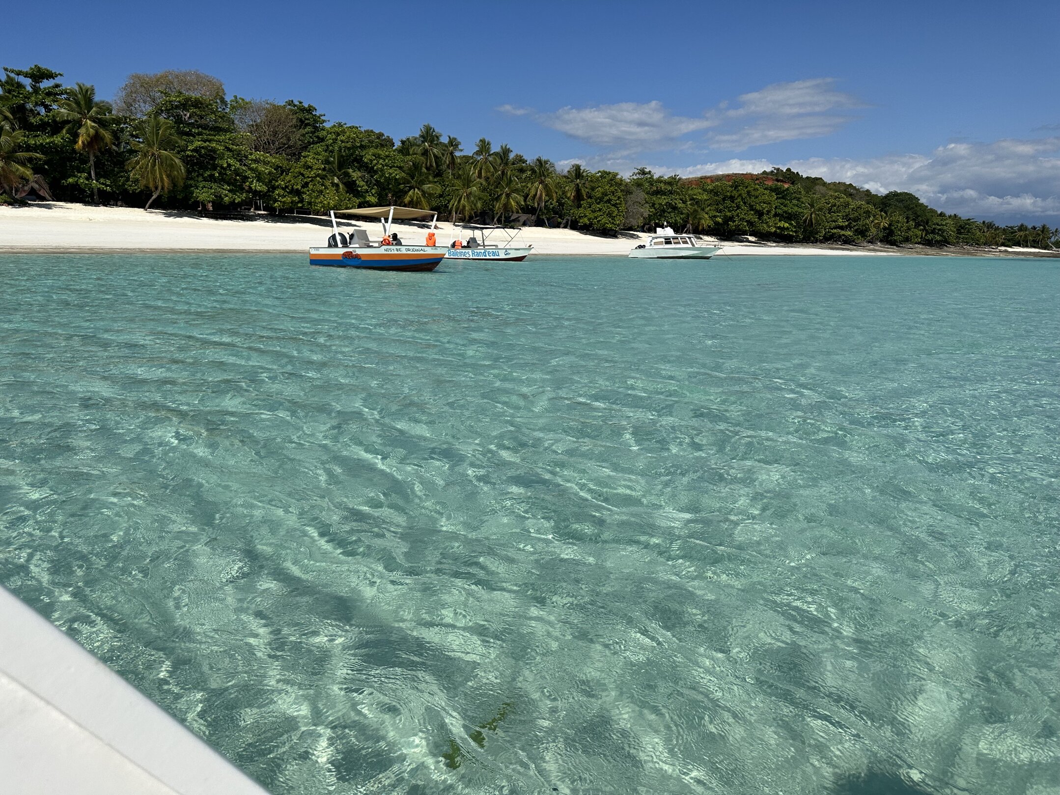 img_6651.jpeg img_6651.jpeg