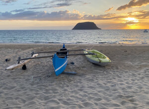 8fee5be9-491a-4e05-885a-32f4b1417d4b 8fee5be9-491a-4e05-885a-32f4b1417d4b