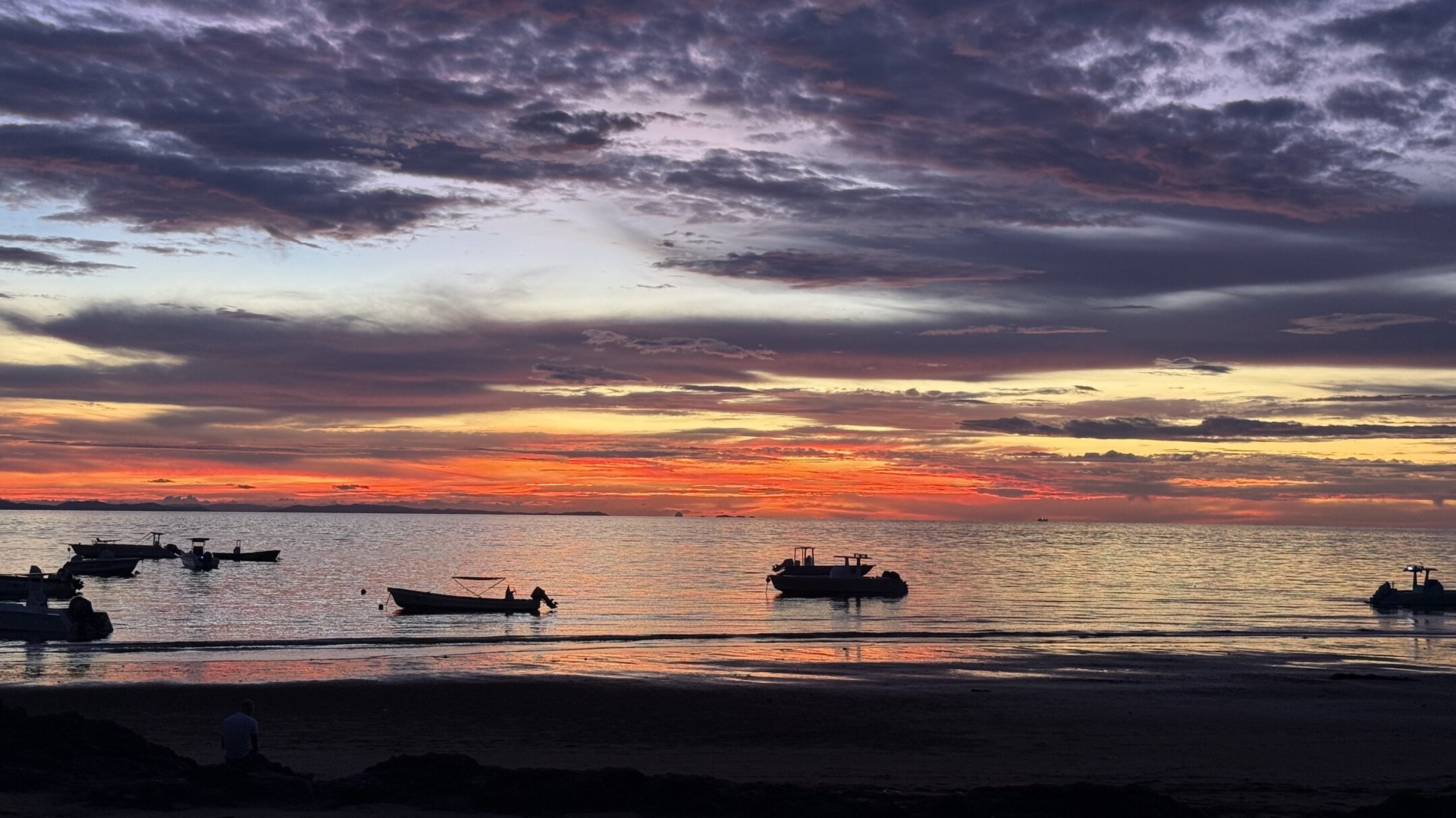 img_2676.jpeg img_2676.jpeg