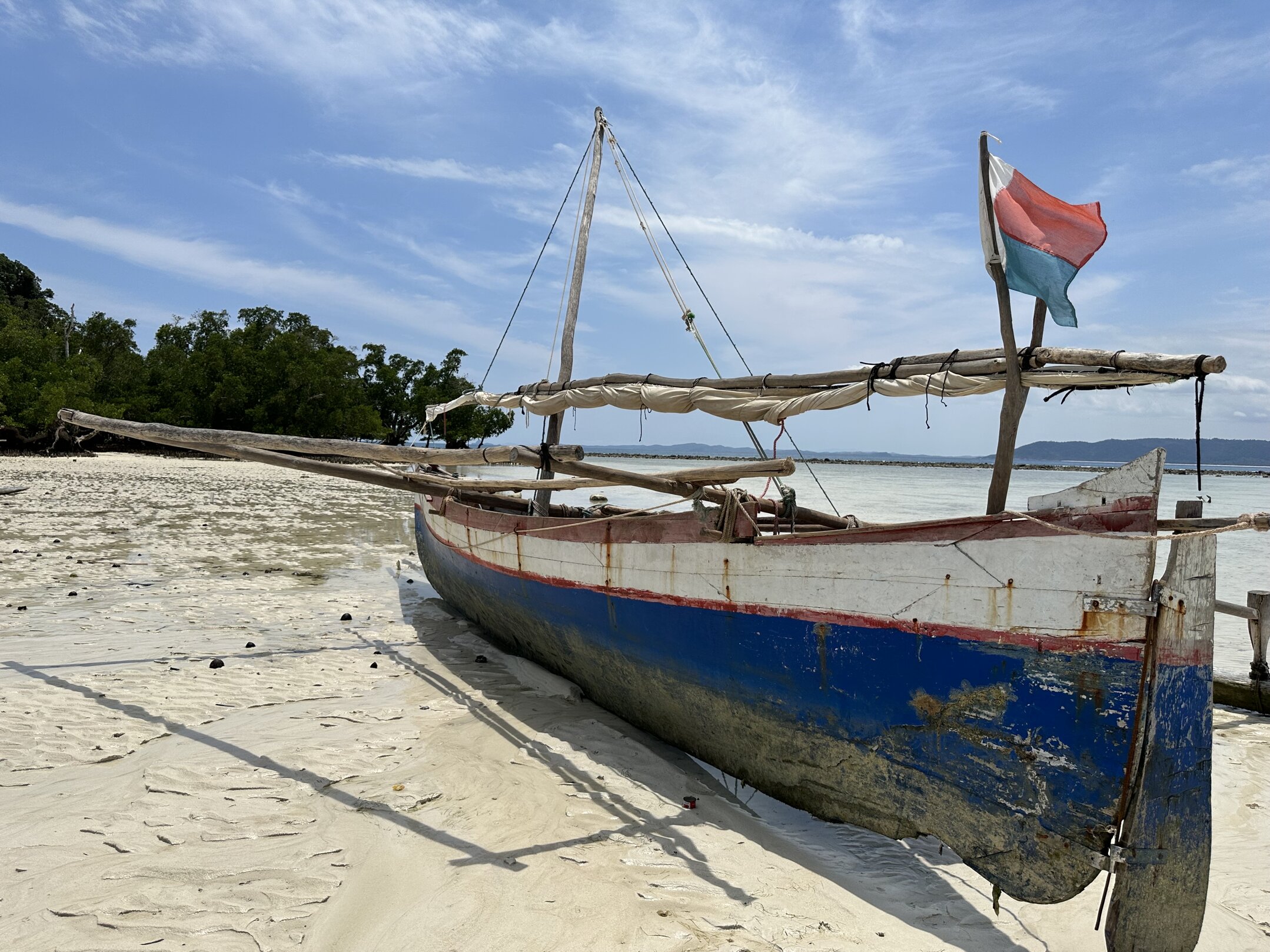 img_7020.jpeg img_7020.jpeg