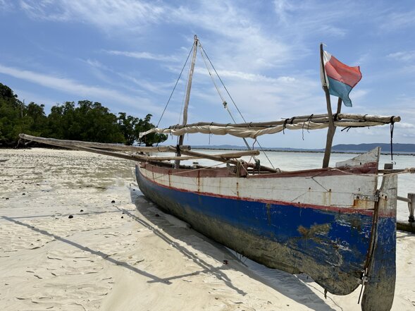 img_7020.jpeg img_7020.jpeg