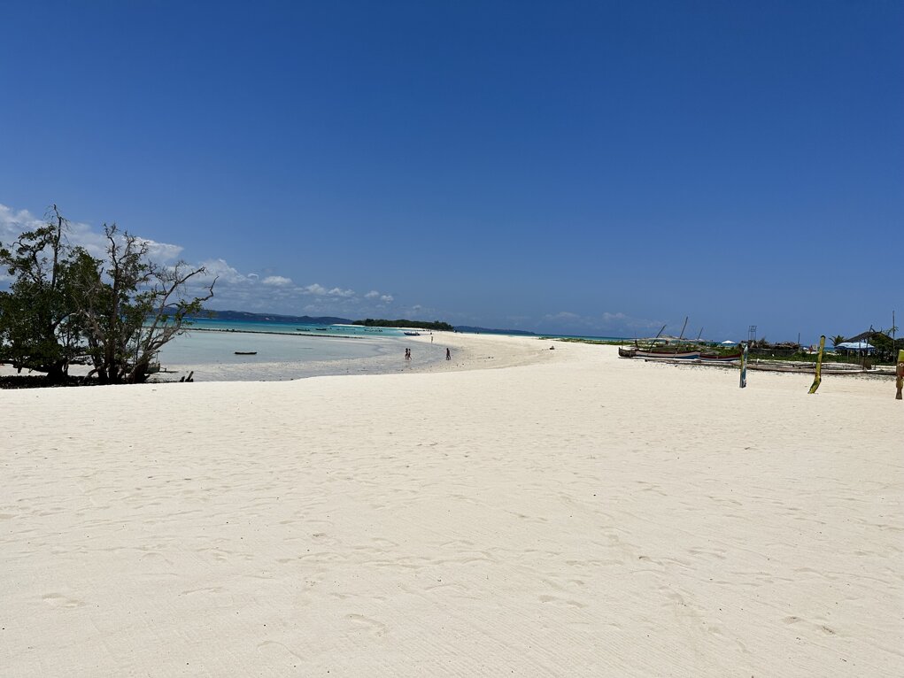 img_6623.jpeg img_6623.jpeg