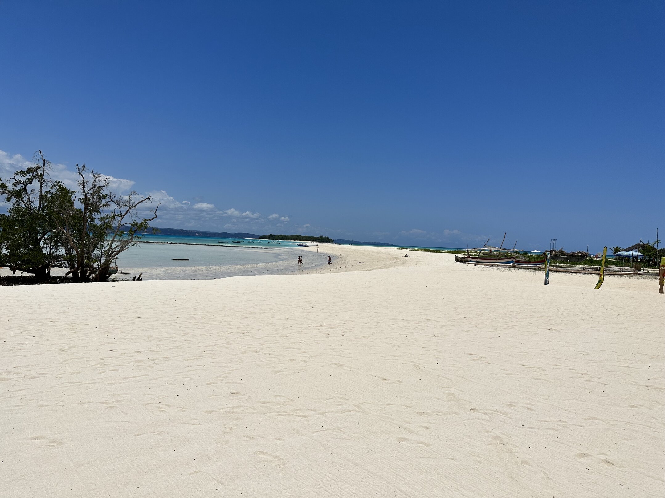 img_6623.jpeg img_6623.jpeg