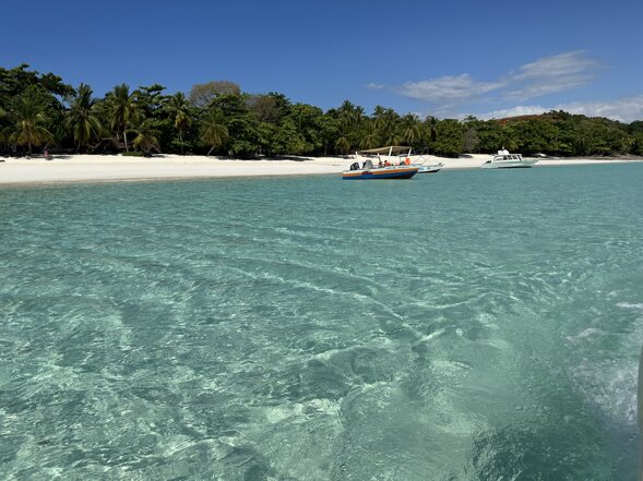 img_6652.jpeg img_6652.jpeg