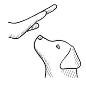 113b3e2f-bccd-46e6-a148-059a0eb6f468 113b3e2f-bccd-46e6-a148-059a0eb6f468