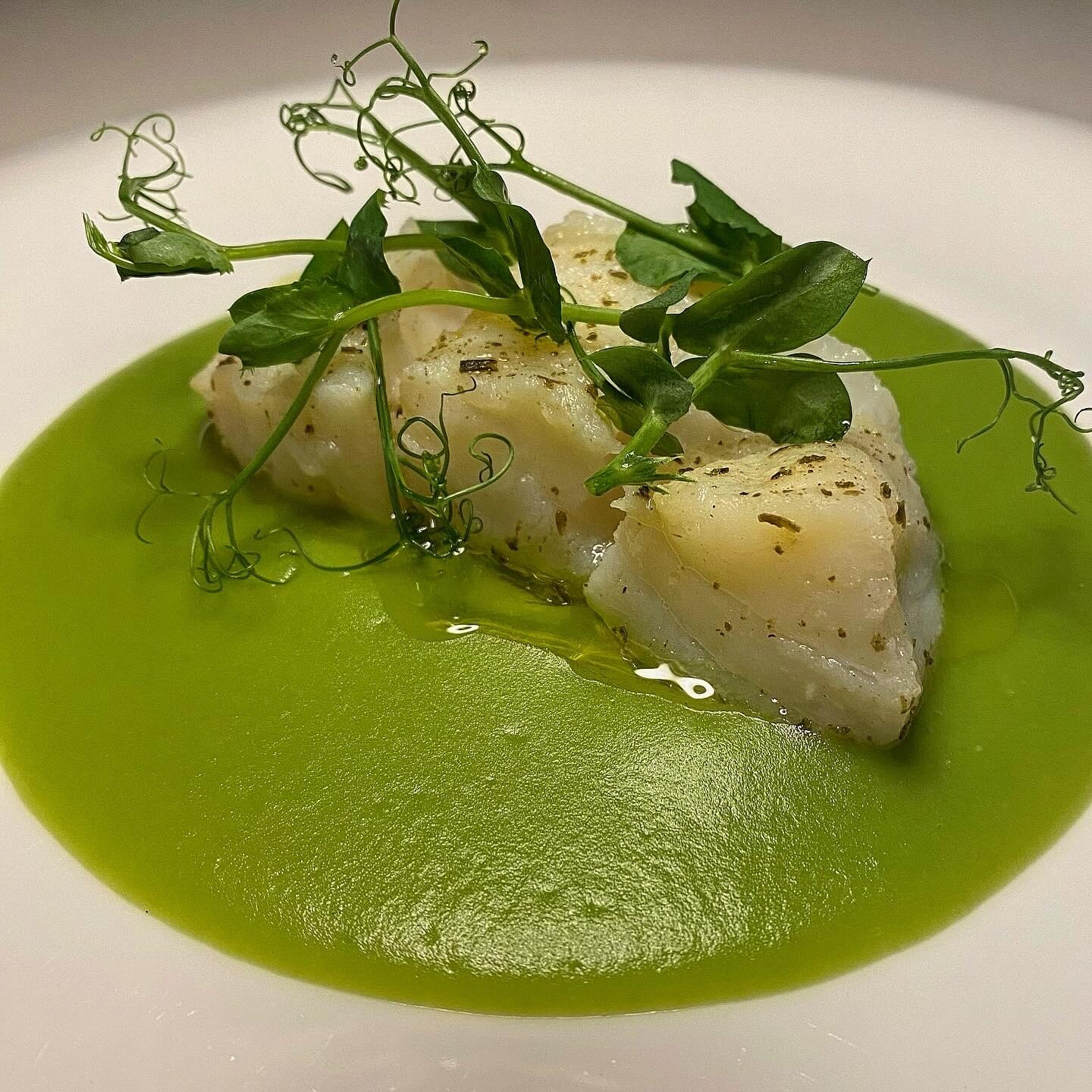 SECONDI DI PESCE: MERLUZZO SU CREMA DI PISELLI