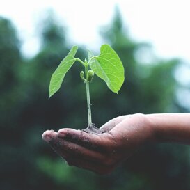 sostenibilità Analizziamo impatti sul ciclo di vita di prodotti e servizi