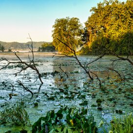 consulenza ambientale Offriamo una visione completa delle tematiche ambientali