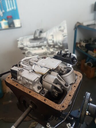 64825762_2238101086296758_8630943923289718784_n.jpeg 64825762_2238101086296758_8630943923289718784_n.jpeg