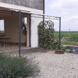 Ingresso