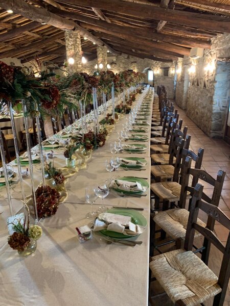 whatsapp image 2026-01-08 at 12.09.46.jpeg