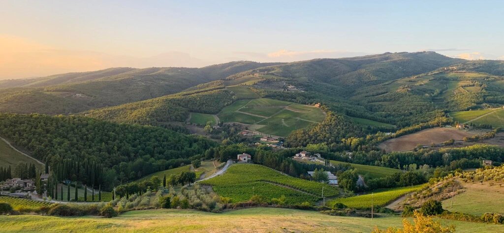 77ee7977-71b9-4b50-9ee6-fd8041cecc16