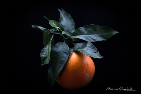 arancio.jpeg