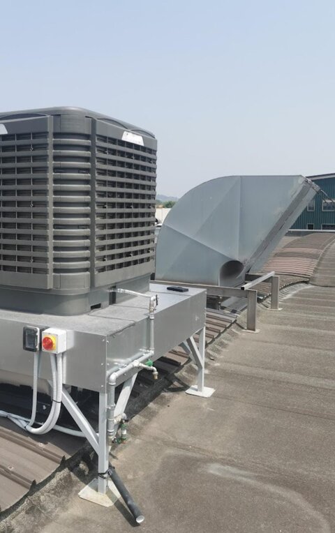 whatsapp image 2026-01-21 at 19.30.32.jpeg