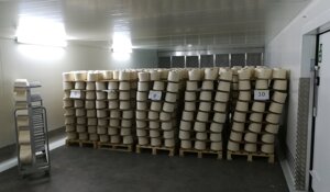 d9fc4b8a-d5a0-4b8a-bc60-416f6873027a d9fc4b8a-d5a0-4b8a-bc60-416f6873027a