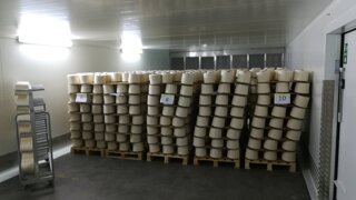 20211006_091534.jpeg 20211006_091534.jpeg