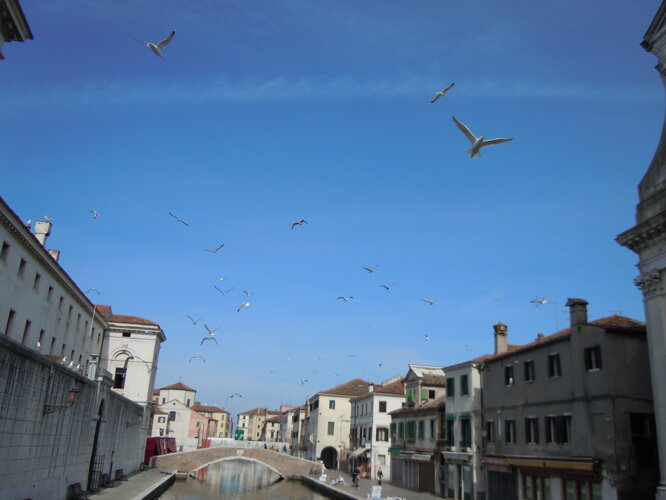 74b2ecf1-3c68-4442-bb86-e16b40880170