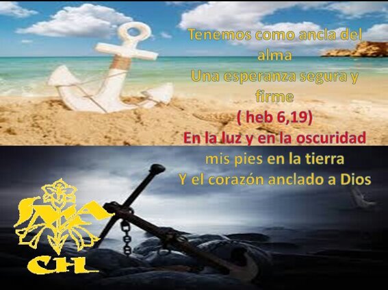 69caa55a-39d4-410b-851c-3d04a0967cf1