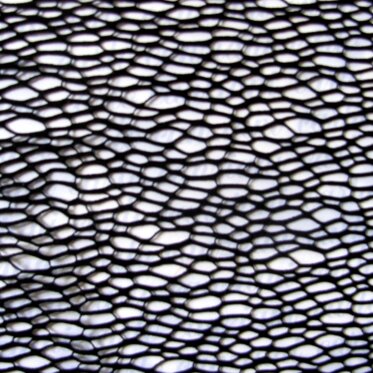 4e9d5f06-08cc-4f02-bb0b-460c577c1823