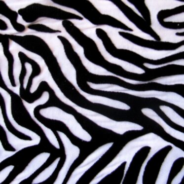 dddf7e11-3243-4538-94b7-0ee3bc31e16e