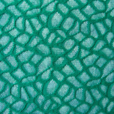 e4c06501-168b-42dd-9aa0-462111356ce1