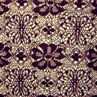 f8b298d8-e693-4a06-84cf-ed28bac42d33