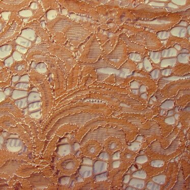 65cf3b54-3519-49bc-ba08-40b01f058166