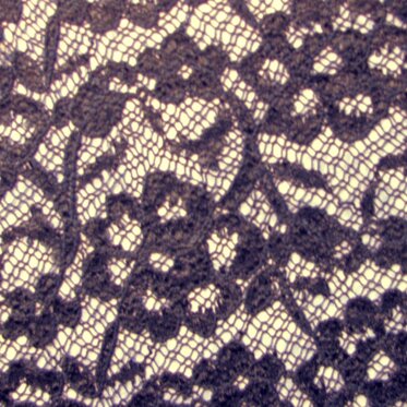 b5a2c56d-2db6-40b7-a476-41093230ab43