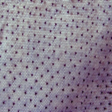 ae4613e5-abc3-403e-98e8-e135d21175c2