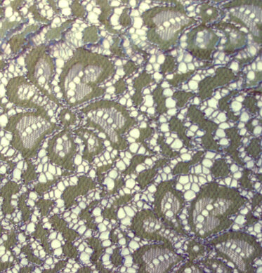 94c2fc56-c81e-443b-8d82-f19dbbd2ddc9