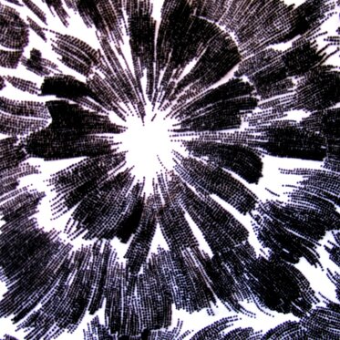 573747d6-dcd5-4e37-8127-b7041983f02e